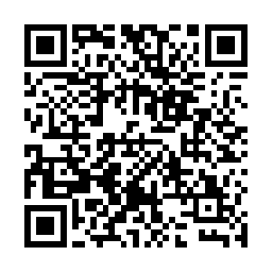 若是任琦宁敢引蛮族入关……本王要他姓林的断子绝孙二维码生成