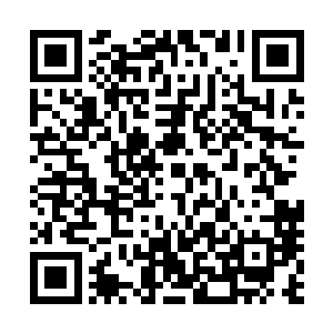 若是你们的丈夫将这种漂亮美味的盆栽蛋糕送给你们做礼物二维码生成