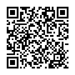若是你哥哥在这里的话一定会很高兴看到你这个样子的二维码生成