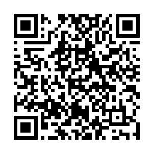 若是你继续用枪械杀的话……那么这些狼就会越来越强二维码生成