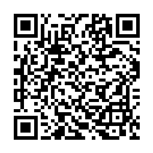 若是刚才罗莉说的那什么队长的妹妹直接进入军事学院二维码生成