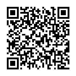 若是君主大人动用全部底牌将会是个怎么样的情形二维码生成