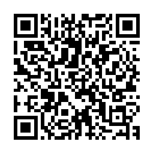 若是因为她们两个把新来的夫人给逼到外面大庭广众之下跪下了二维码生成