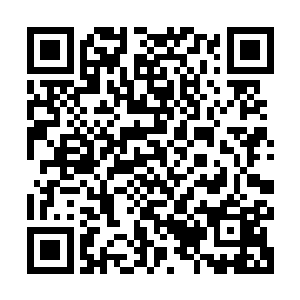 若是在深层次区域呆的时间过长导致错过了天古秘境关闭的时间二维码生成