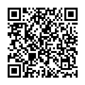 若是墨景祁或者雷振霆的地方这么轻易的让他们闯进去了二维码生成