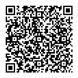 若是寻常人　也许还会忌惮一番　但篇篇鬼冥不一样　他不仅仅是元婴大能　更是这一代的接引之人二维码生成