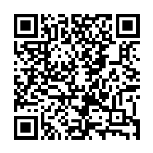 若是小友真的能够祛除老朽体内的这该死的玄煞之气的话二维码生成