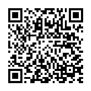 若是引来了别人的质疑和不满的话……比如其他的几位巡视者二维码生成