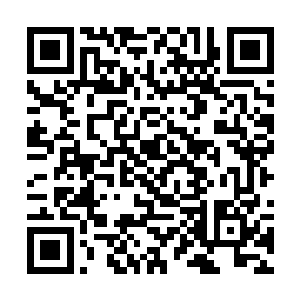 若是当初和他对战韩风就施展了这一招……一时之间二维码生成