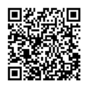 若是当年段御史真是因为握有当今皇帝叛国的罪证被灭全家二维码生成