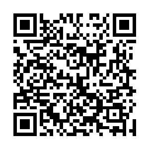若是待会这些人知道他们真的嘲讽和冷笑了一位大圣域二维码生成