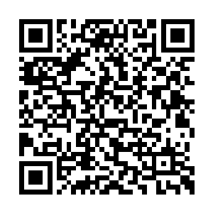 若是怀春的少女遇上他说不定就得患上相思病了二维码生成