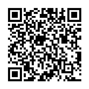 若是想要在十年的时间内达到圣祖的境界显然十分的困难二维码生成