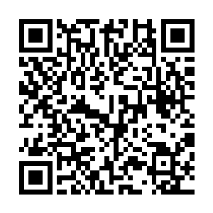 若是我死了……你可将我的尸首交给官府……只要周旋得当二维码生成