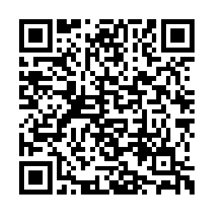 若是换做圣界中的无极境五重天来应对如此场面二维码生成