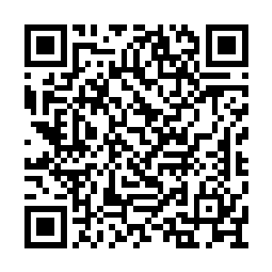 若是普通人肯定会把这当做一座一无是处的荒山二维码生成