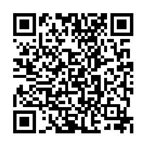若是暂时困住一只炼虚境界的妖兽应该是不难的二维码生成