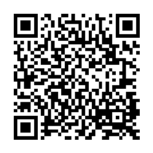 若是本该和和气气的敷衍过程中老有一只苍蝇嗡嗡嗡的叫来叫去二维码生成