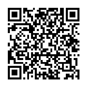 若是炼化了九玄玲珑宝塔中吸收的恐怖的劫雷的能量的话二维码生成