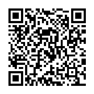 若是王妃问起来徐家三位公子为何要住到府外属下要怎么回二维码生成