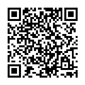 若是用秦方的人头来扬名也绝对是相当不错的彩头二维码生成