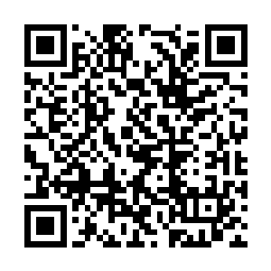 若是百里水母控制的海兽有几种以速度见长的海兽二维码生成