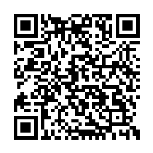 若是秦方今天可以比大舅子桑多猎杀更多的猎物二维码生成