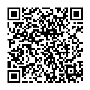 若是等到龙傲天和小黑两人将下方的其他黄袍弟子全部都给料理掉之后二维码生成