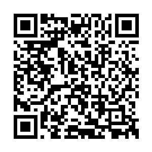 若是能再在剩下的五大世家之中再敲出一些粮来二维码生成