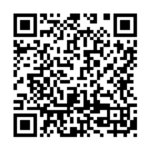 若是能够全部去夺取那幻梦血莲花内的宝物的话二维码生成