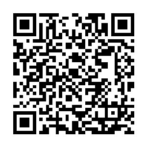 若是自己也会一些医术也不至于落到今天这样的地步二维码生成