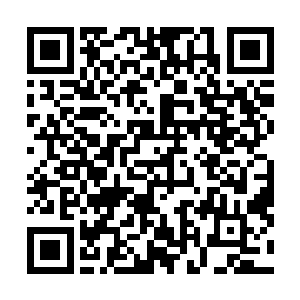 若是自己刚才灭火的埋坑的时候怎么不埋得更仔细些……二维码生成