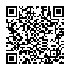 若是自己打扰了严大人休息让严大人身体出了什么岔子二维码生成