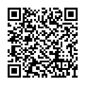 若是苏夏他真的能够从众多仙符师当中脱颖而出二维码生成