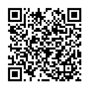 若是血鸦当年没有被明王天那位渔叟前辈降服的话二维码生成