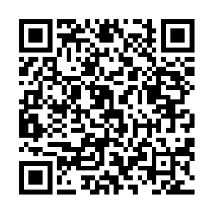 若是被人看见一只雪白的小狗嘴里喷出火焰……苏落扶额二维码生成