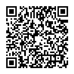 若是被女皇陛下知道我们看光了遥迦大人的身子……我们所有人都会死二维码生成