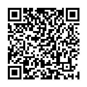 若是让人知道二姐和王爷…我哪里还有脸在黎王府里待下去二维码生成