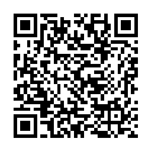 若是让他们知道外院十大弟子欺负一个开脉二段弟子二维码生成