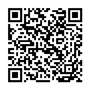 若是让你在狐仙福地和重获新生这两项中二选其一二维码生成