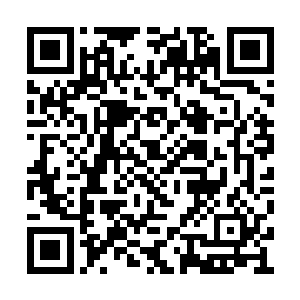 若是让你那娇滴滴的几个小美人儿因此送了性命二维码生成
