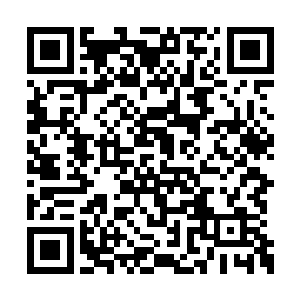 若是让那些以你为榜样的学子瞧见你如今的模样二维码生成