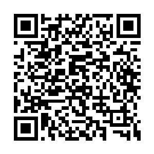 若是说了出来平白的给了陆元希望又生生的掐断二维码生成