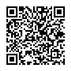 若是说木希尘是军事学院继君墨皇之后的顶级天才二维码生成