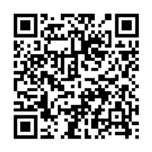 若是距离稍近……众多弟子看着被气息压迫的韩风二维码生成