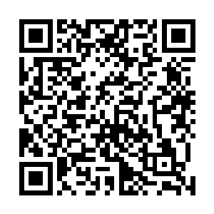 若是过多即便是兽族也有可能会承受不了强大的原始之力二维码生成