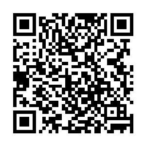 若是这一次动作是由修为较高的那个女子用来的话……二维码生成