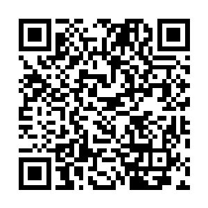 若是这六个人里面有三个被人成为千王都还能算厉害的话二维码生成