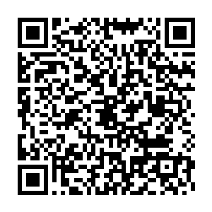 若是这时候再强行给雪狐貂灌了金龙涎下去……以小貂这贪吃的姓子二维码生成