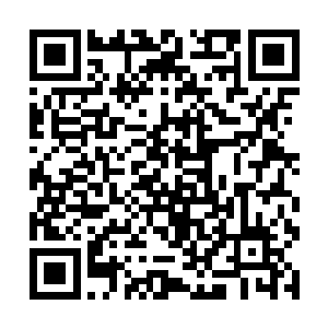 若是送来的混杂能量都是那些宾客的下人弄出来的话二维码生成